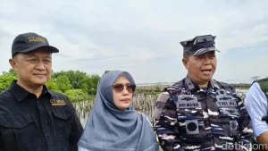 Koarmada Ri Apresiasi Ct Arsa Bersih Bersih Dan Tanam Mangrove Muara Angke