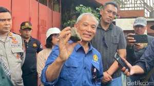 Teror Api 39 Kali Di Sleman Geolog Upn Duga Dipicu Gas Metana Rawa
