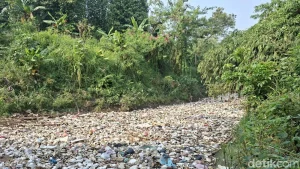 Wali Kota Serang Kaji Sanksi Untuk Pembuang Sampah Di Sungai