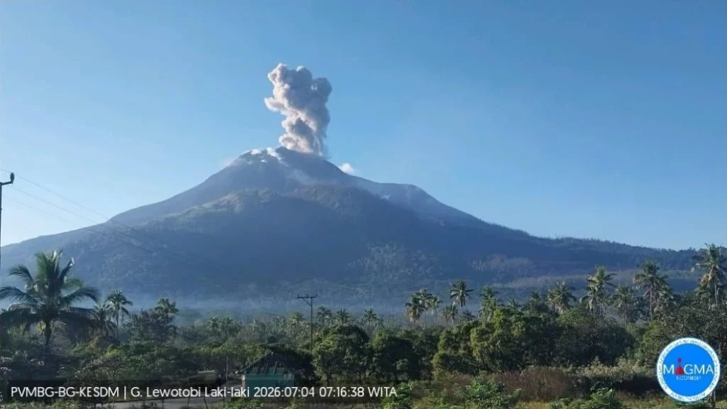 Gunung Lewotobi Laki Laki Flores Timur Erupsi Dua Kali Abu Capai 800 Meter