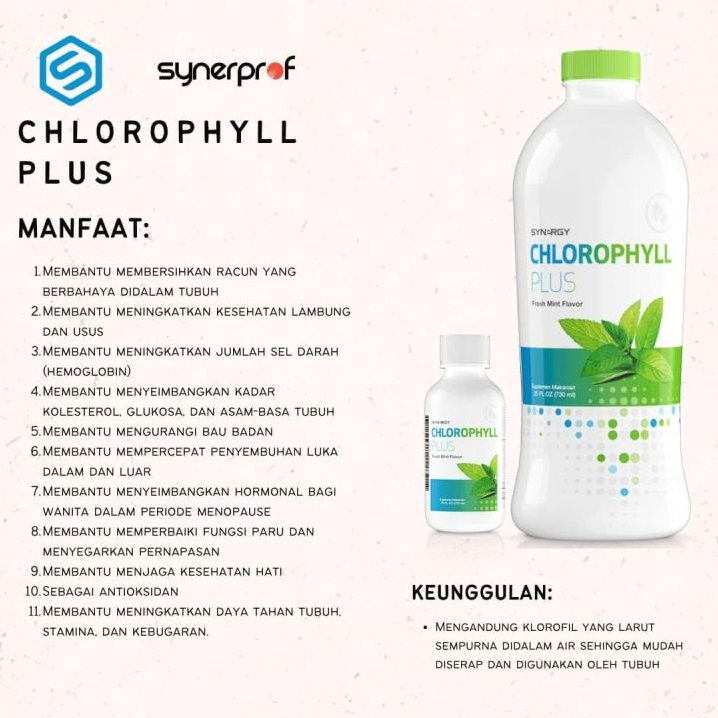 Menjaga Kesehatan Dengan Zat Hijau Daun Apa Manfaat Suplemen Chlorophyll Untuk Tubuh