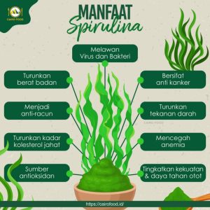 Menjaga Kesehatan Optimal Apa Manfaat Suplemen Spirulina Untuk Kesehatan
