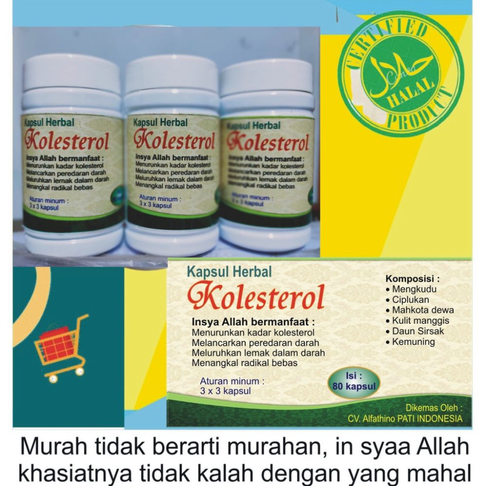 Panduan Lengkap Mengatasi Kolesterol Tinggi Dan Klarifikasi Penggunaan Obat Molac