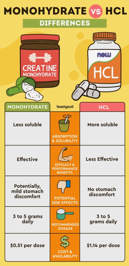 Perbandingan Mendalam Apa Perbedaan Suplemen Creatine Monohydrate Dan Hcl Untuk Olahraga
